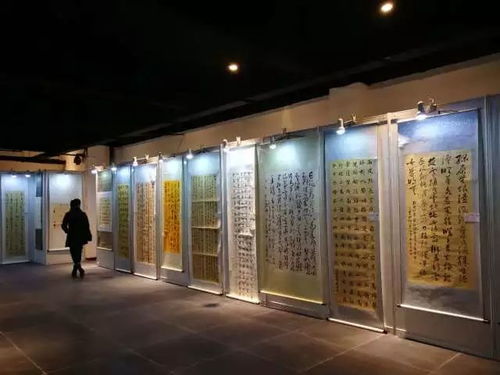 移动门店官方下载，发掘宝藏，一款独特软件的神秘面纱揭晓