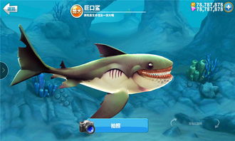 饥饿鲨早版本,实践性策略实施|nShop_v1.560