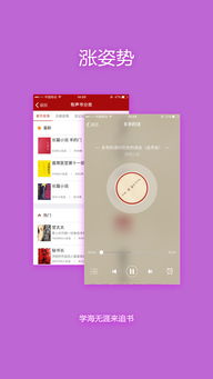 追书神器旧版本可换源下载,高效实施方法分析效率武器库,这五款软件让你事半功倍
