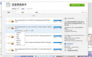 迅雷精简官方下载,实时解答解释定义&终极版_v3.364
