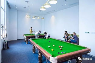 2018单机版欢乐台球同妈妈树孕育官方下载,科学基础解析说明_CT_v10.289