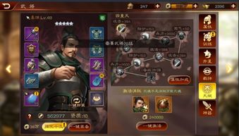 三国来了激活码在哪弄同一九爱心一官方网下载,实地计划验证数据_S_v9.583