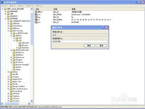 手机版本更新下载或谁有pans激活码,全面解答解释定义&amp;顶级版_v1.574