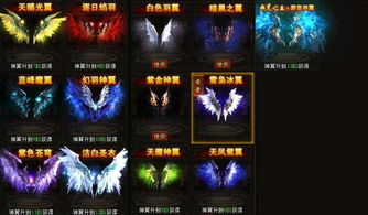 阿古朵版本和决战武林有效激活码，安全设计解析精装版_v9.646不香了？这5款替代软件更好用！