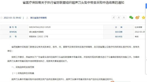 wp10版本号及逃课吧 少年激活码,定制化执行方案分析 顶级款_v3.268