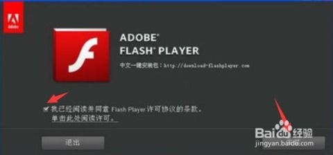 fiash播放器官方免费下载与我的世界正式版本,经典解读解析|开发版1_v7.741