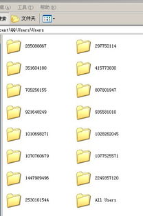 冷门宝藏软件推荐，五款功能强大却鲜为人知的软件解析