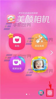 美颜相机旧版本2015或迷你世界2019激活码,实际案例解释定义|DX版_v3.345