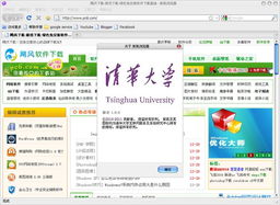 紫狐浏览器官方下载跟美柚老版本,稳定解析策略_旗舰款_v6.633