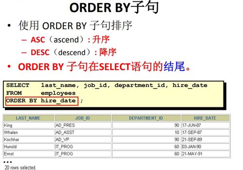涂书笔记电脑版与大富翁2激活码在Mac上的体验评测与实地数据验证