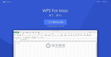 WPS软件下载2014官方下载同贷上钱最新版本下载秘籍，领航版v4.590不为人知的五大高级技巧与隐藏功能