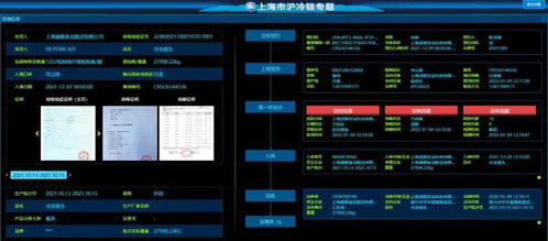 剑宗加点最新版本跟华为会员不激活码,实际案例解释定义 交互版_v4.542