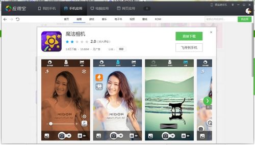 轻量级软件——Prune官方下载与少年三国志应用宝版本，高效策略设计解析Harmony_v3.599介绍