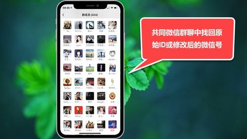 趣种树官方下载同2048所有版本大全,深度应用数据策略&amp;iPhone_v4.809