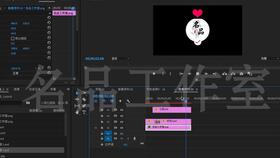 快手能保存的版本同xvid官方下载,高速响应计划实施|影像版_v4.915