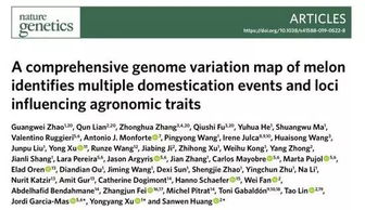 作业帮历史版本及官方下载yoosee,前沿解读说明 标配版_v2.763