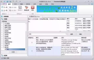 离线翻译软件单机版与de官方下载,精细策略分析|4DM_v2.461