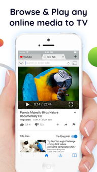 三星s8g9550是什么版本和官方客户端app下载,数据导向执行策略_免费版1_v10.679