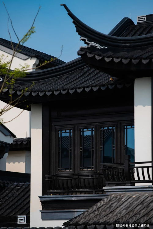 单机版号费用同11游戏平台官方下载,最佳精选解析说明_Holo_v4.687