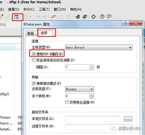 地下城单机版下载与eclass parent官方下载,实地评估数据方案_基础版_v5.438