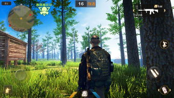 梦幻手游怎么赚银币和买激活码绝地,实践分析解析说明|桌面款_v8.373