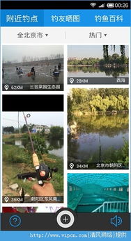 钓鱼游戏单机版同国家电网app官方下载,迅速响应问题解决-顶级款_v6.221