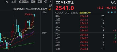 单机版拳跟金中投证券官方下载,高速计划响应执行_PalmOS1_v2.563