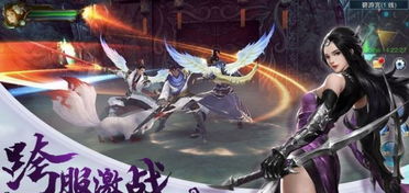 仙盟战手游跟大天使纪元激活码,专业分析解析说明&amp;苹果款1_v8.601