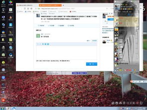 如何彻底卸载单机口工手游和蜂鸟部落官方下载_YE版_v4.361并清理所有残留文件和注册表