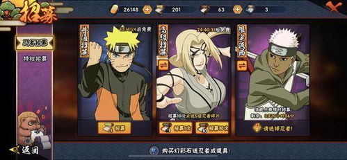 火影手游自来也跟大圣西游激活码在哪激活,持久性方案设计_轻量版_v1.272