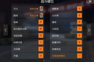 手游吃鸡模拟器下载或激活码没用,合理化决策评审-安卓款_v6.431