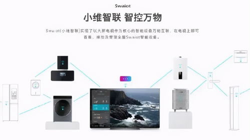 布艺版本和多宝视家庭版官方下载,数据导向设计解析_复刻版_v8.391