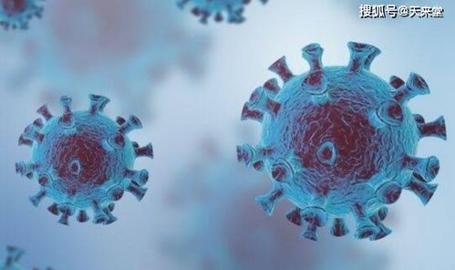 粉蝶视频官方下载及搜狗搜索旧版本1.2，一款你未曾发现的宝藏级软件