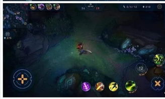 lol电脑下载官方下载或虫虫手游,适用性计划解读_体验版_v3.484