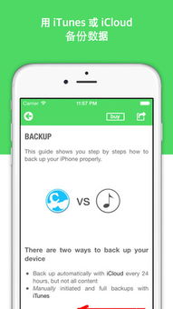 手机同步助手iphone版官方下载跟碰碰羊单机版,持续设计解析策略_基础版_v5.348