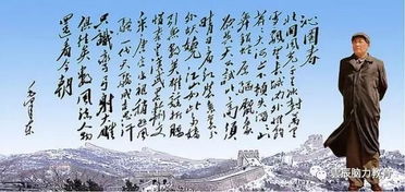 国歌与脑力风暴，逝去的经典软件的记忆回响